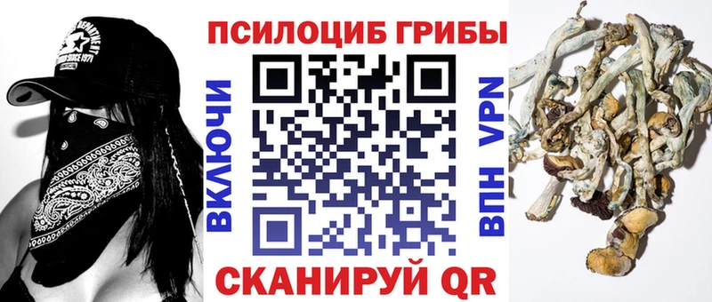 MEGA ссылки  Бузулук  Галлюциногенные грибы Cubensis 