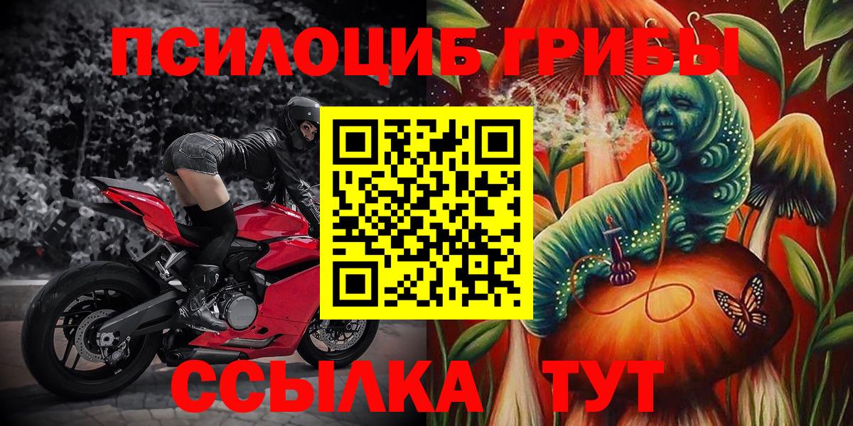 Галлюциногенные грибы ЛСД Бузулук