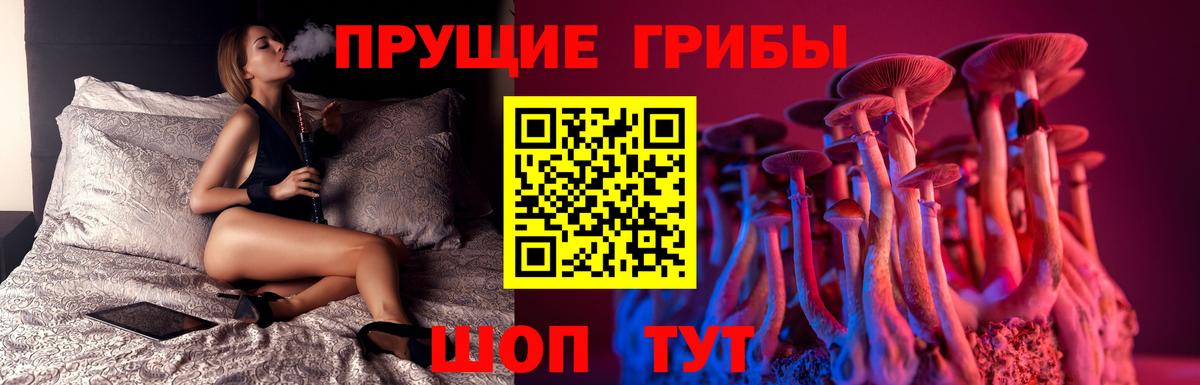 Псилоцибиновые грибы Psilocybine cubensis Бузулук